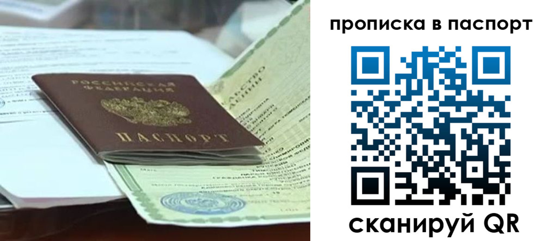 купить прописку в Сельцо